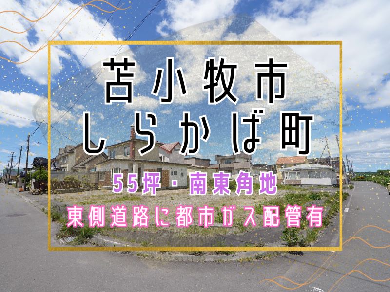 【しらかば町】敷地55坪🎵南東角地で日当たり良好☀成約済
