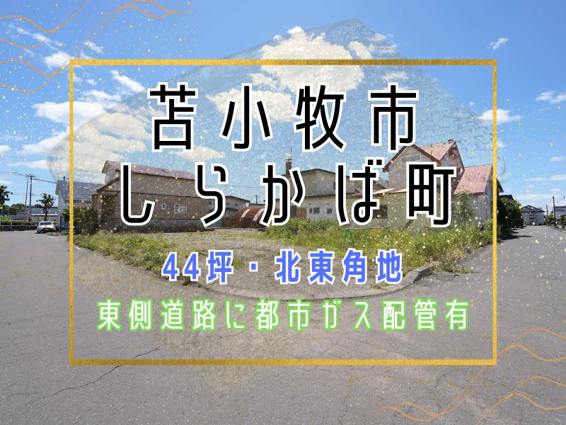 【しらかば町】敷地44坪☀北東角地で日当たり良好✨成約済